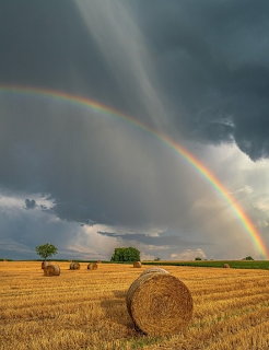 Double rainbow over golden stubble field with round hay bales under dark storm clouds