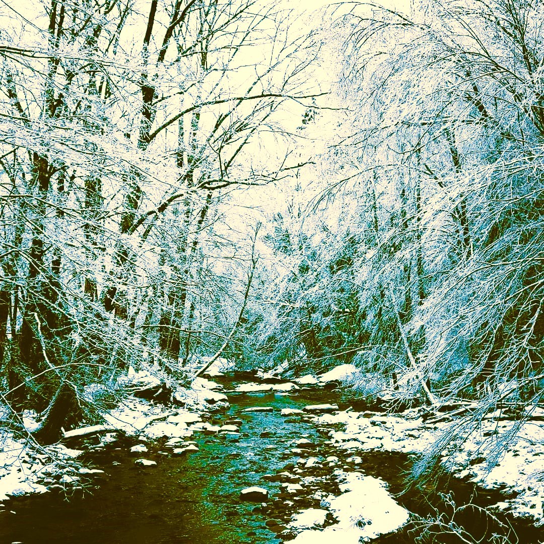 Snow-covered forest stream with frosted trees and rocks in winter landscape
