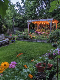 Lush backyard garden at dusk with colorful flowers, raised beds, green lawn, and illuminated pergola with string lights