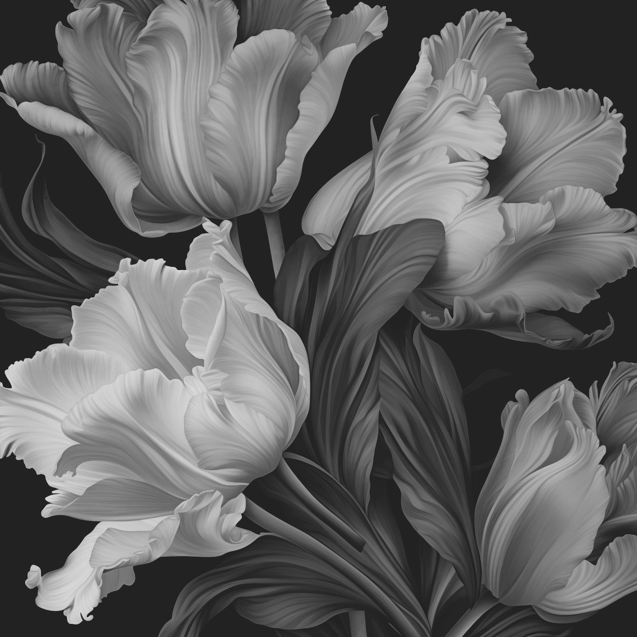 Black and white close-up photograph of blooming tulips with ruffled petals and graceful leaves