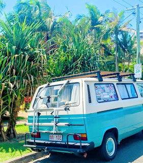 Blue and white vintage van parked beside tropical palm trees