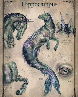 Hippocampus Mythical Creature Study