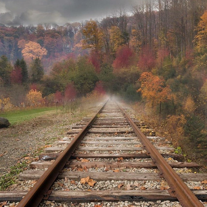 Railroad tracks leading into mist through an autumn forest