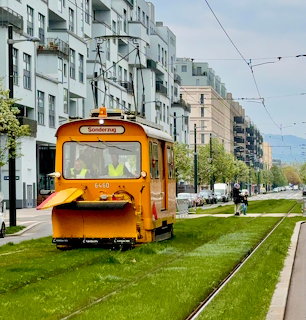 Orange tram on grassy tracks beside apartment buildings in a city street