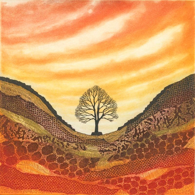 Sunset Sycamore Gap by Rebecca Vincent