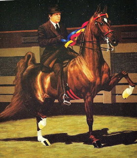 Painting of a chestnut Saddlebred horse with a rider in a show ring