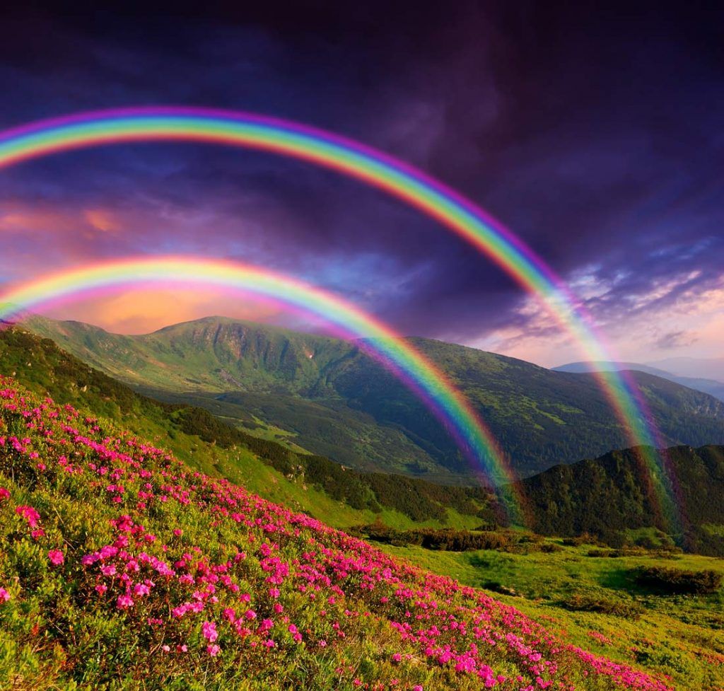 Double rainbow over mountain range with pink flowers and dramatic cloudy sky