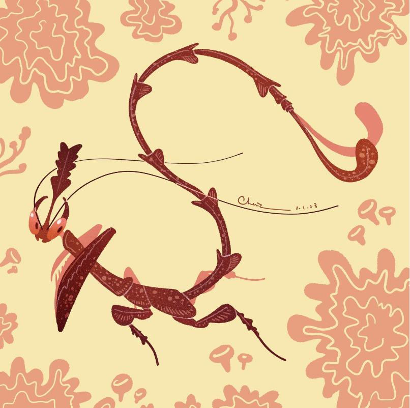 Stylized reddish praying mantis illustration on a pale cream background with coral abstract patterns