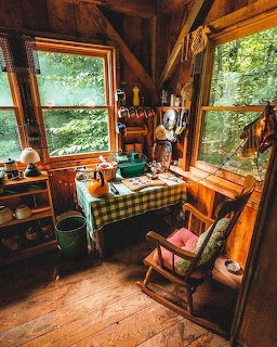 Sunlit rustic cabin interior with wooden walls, large windows, vintage furniture and forest view
