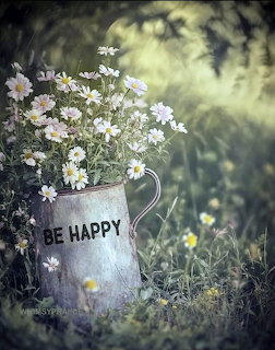 Be Happy Daisy Tin Can