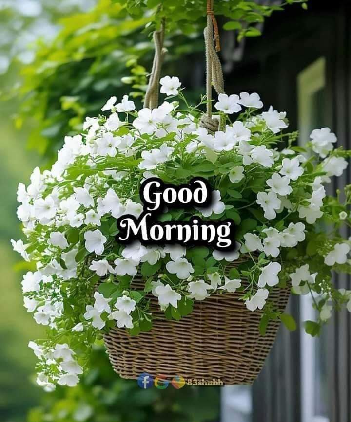 Hanging wicker basket filled with abundant white flowers and green leaves outdoors