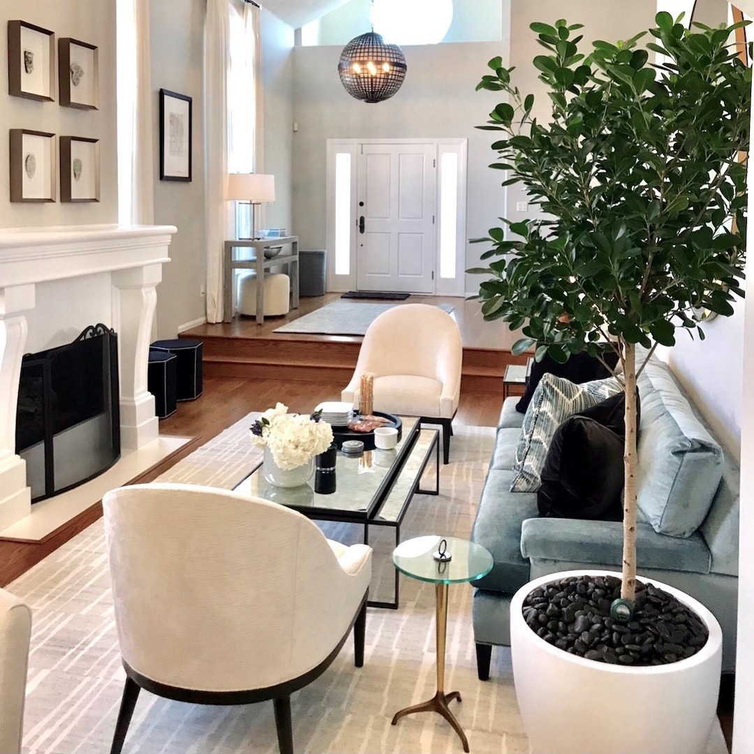 Bright Modern Living Room