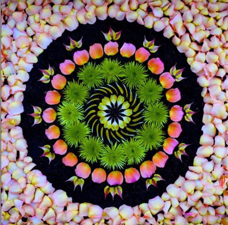Mandala with white plumeria border and green chrysanthemum spiral on black background