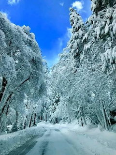 Snowy Day in Yosemite