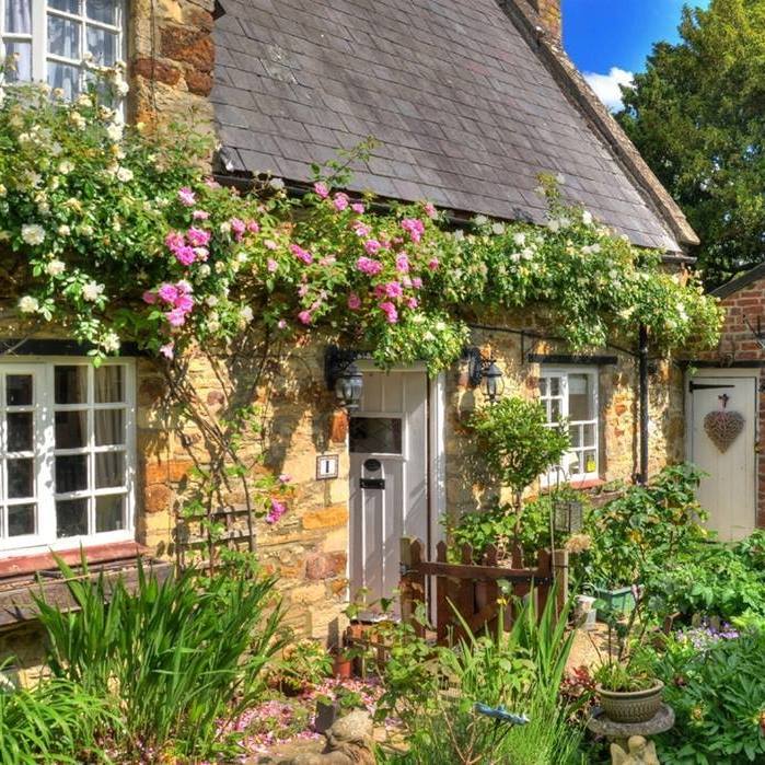 Stone cottage with thatched roof, climbing pink roses, white door, lush garden with colorful flowers in front