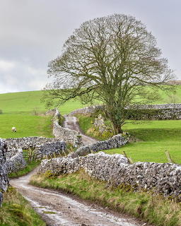 Winding dirt path between dry stone walls with a large tree and green hills in the background