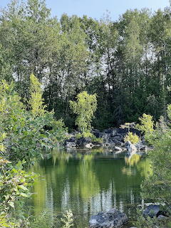 Green forest pond with rocky shore and tree reflections in still water