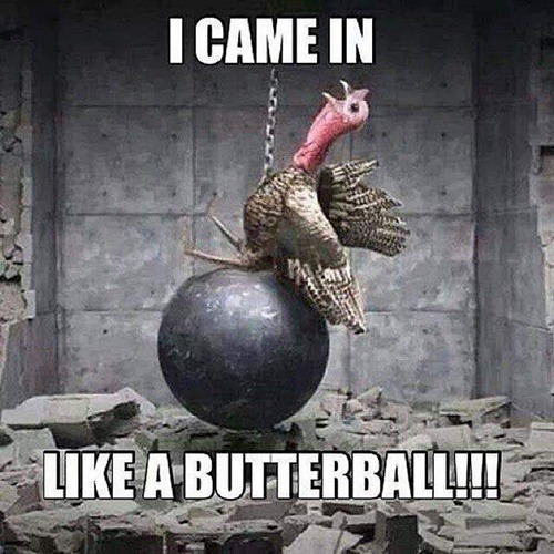 Turkey perched on a wrecking ball in a rubble-filled setting with meme text