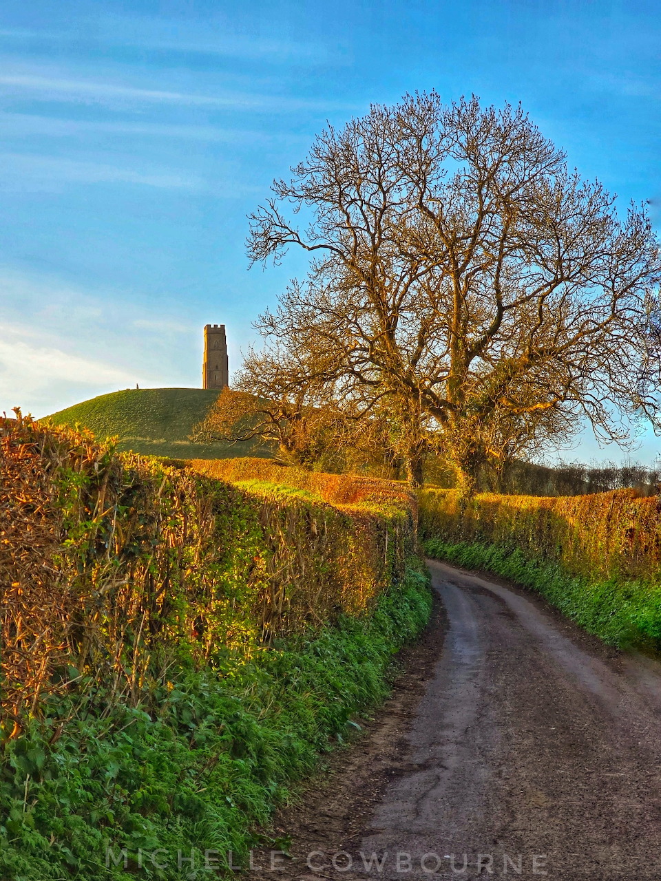 Country lane with hedgerows leading to Glastonbury Tor hill with tower on top against blue sky