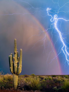 Saguaro cactus in desert with lightning strikes and rainbow during storm