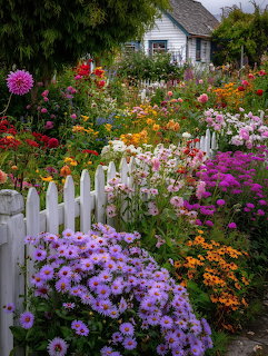 Colorful flower garden with white picket fence and cottage in background