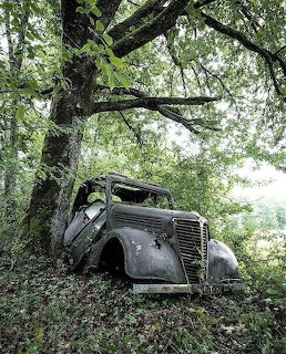Abandoned Vintage Car in Forest
