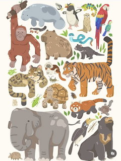 Illustrated collage of various wildlife animals including elephant, tiger, monkey, parrot, turtle, and other species