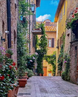 Narrow village alley with old stone buildings, potted flowers, and climbing ivy