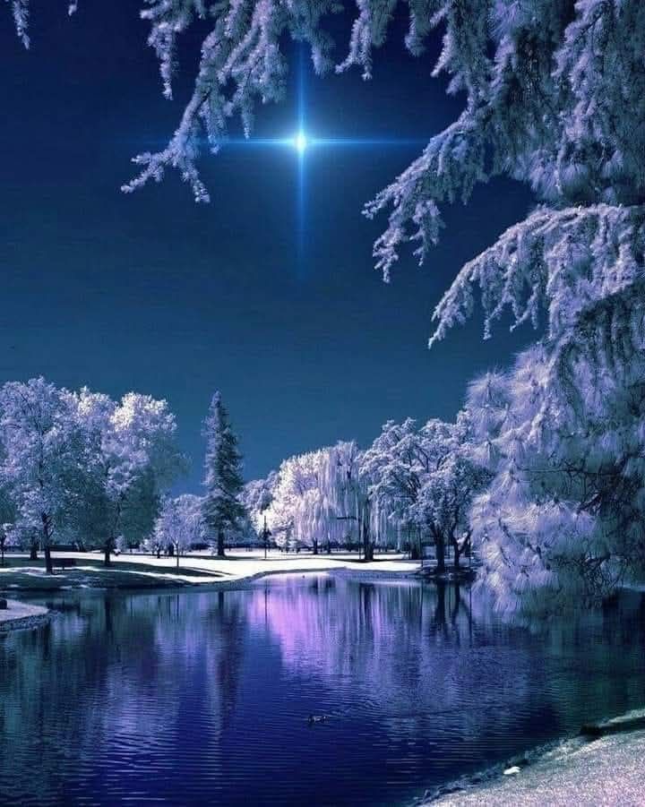 Bright star over a calm lake with frosted trees on a winter night