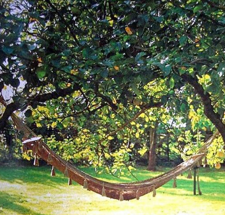 Hammock