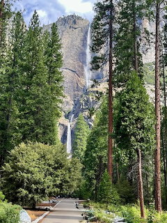 Yosemite Falls waterfall behind tall evergreen trees with path in foreground
