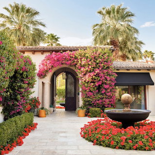 Palm Springs Bougainvillea Courtyard