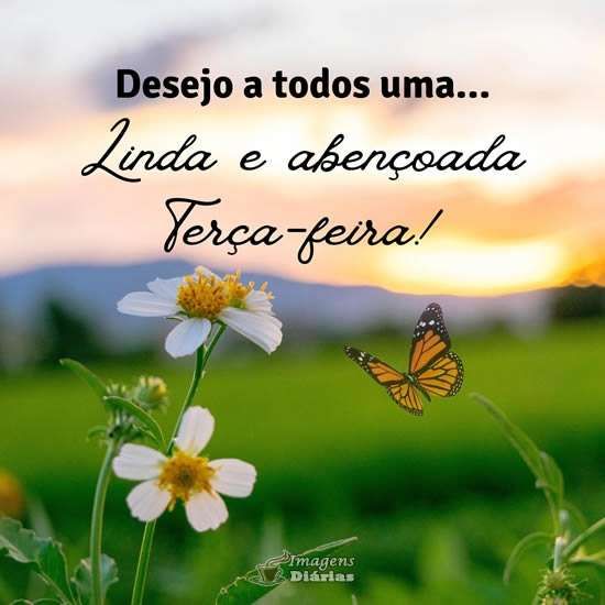 Monarch butterfly near white daisies with sunset and rolling hills background, Portuguese text overlay