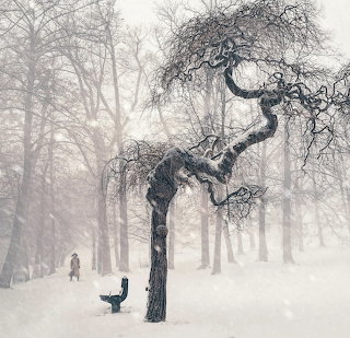 Struggling Against the Blizzard