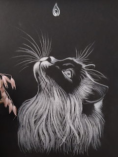 White on black chalk drawing of a fluffy cat gazing upward at a falling water drop