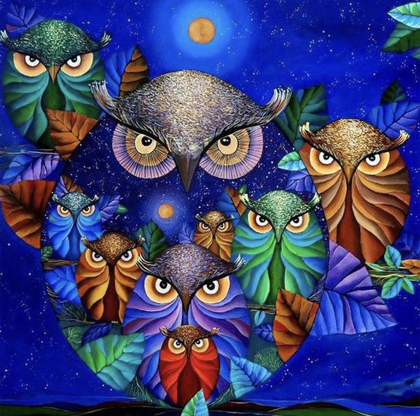 Owls In The Night