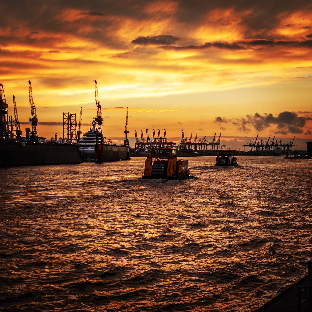 Harbor Sunset with Cranes