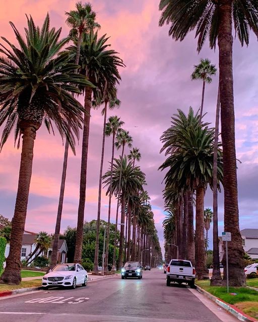 Palm tree-lined street in Beverly Hills, California at sunset with pink sky and passing cars