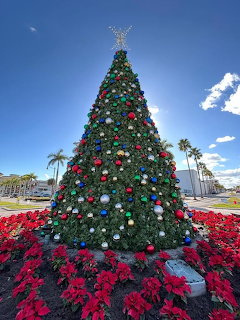 Decorated Christmas tree outdoors with red poinsettias and palm trees under blue sky