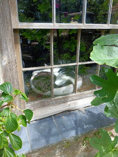 Two cats sitting on a weathered windowsill of an old cottage window surrounded by green plants