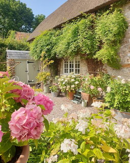 Thatched cottage with ivy-covered walls and colorful flower garden in foreground