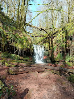 A waterfall cascading through a mossy forest with fallen logs and bare trees in the foreground