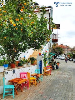 Colorful chairs and tables beneath a lemon tree outside a white-walled café on a Turkish street
