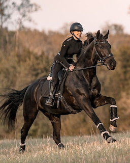 Woman Riding Black Horse