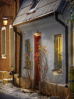 Cottage Doorway with Roses in Snow