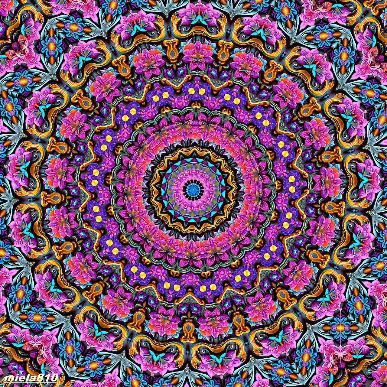 Colorful symmetrical mandala with pink and purple floral patterns radiating outward on dark background