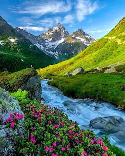 Canton Uri Switzerland Mountain Stream