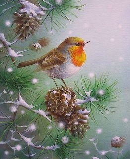 Robin with orange breast sitting on pine branch with pine cones and snow