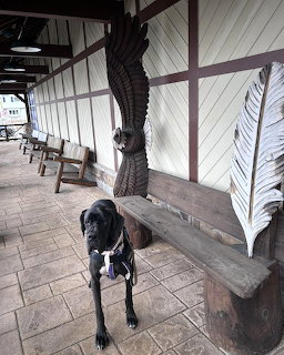 Black dog standing on a porch beside a large carved wooden owl sculpture and white feather decoration