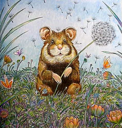 Illustrated hamster sitting in a flower meadow holding a dandelion with a butterfly nearby